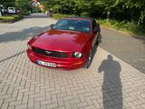 Ford Mustang Cabrio Gewinde TÜV Neu 20 Zol... - Ford Mustang in Oldenburg