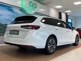 Skoda Superb DSG Selection Combi AHK Fronthzg. Matrix - Skoda Superb Gebrauchtwagen
