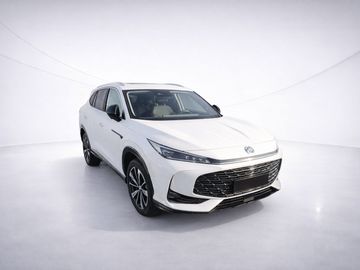 Mg HS - 3