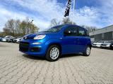 Fiat Panda Pandina 1.0 GSE Hybrid Icon 5 Sitzer Klima - Fiat Panda Neuwagen mit Benzin-Antrieb