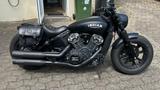 Indian Scout Bobber