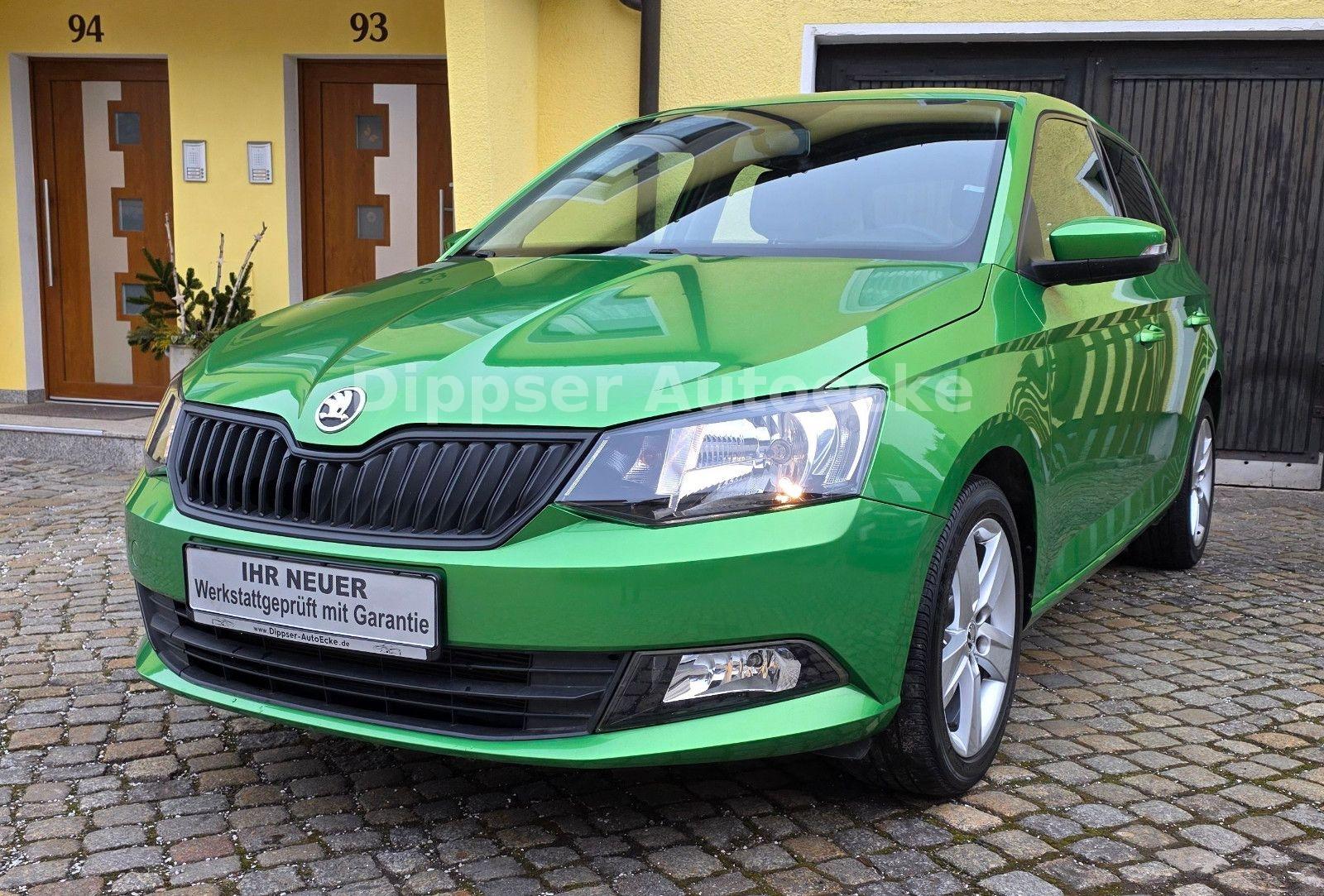Skoda Fabia "Cool Plus"_Klima_DAB_8 fach bereift...
