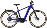 Flyer Gotour 7.12 XC M Gents - Flyer E-Bikes
