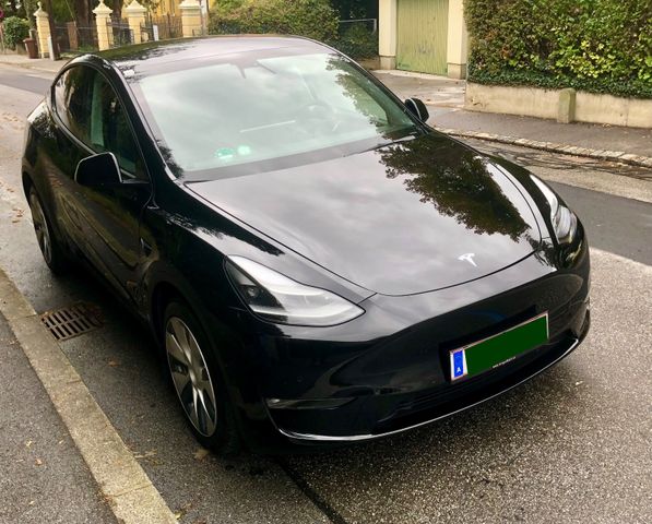 Tesla Model Y Long Range, AWD, EAP, 8-Fach