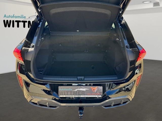 Terramar 2.0TSI 195kW VZ DSG 4Drive AHK/NAV/ACC