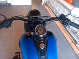 Harley-Davidson FLSTC Fat Boy Haritage 103 Costombike - gebrauchte Motorräder in Kassel