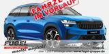 Skoda Kodiaq 2.0 TSI DSG 4x4 RS AHK|5 Jahre Garantie
