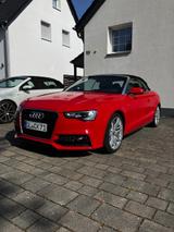 Audi A5 2.0 TDI quattro Sport Edition plus exclusive  - Audi A5: Rot, Cabrio