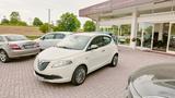 Lancia Ypsilon 1.2 Gold OK NEO PATENTATI - Lancia Ypsilon aus 2012