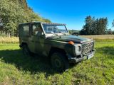 Mercedes-Benz Wolf 250 GD | Bj. 1991 | Ex-... - Mercedes-Benz: Wolf Gd