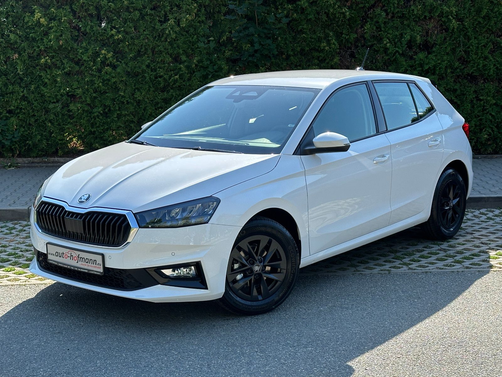 Skoda 95PS Classic Climatronic KAMERA+PDC V/H LM15"