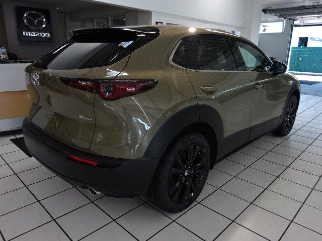 Mazda CX-30 e-SKYACTIV G 140 6AT FWD Homura, VFW, Zirk