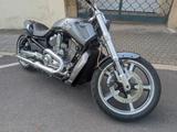 Harley-Davidson VRSCF V-Rod Muscle - HARLEY-DAVIDSON V ROD MUSCLE