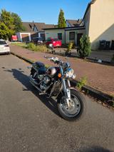 Suzuki VZ 800 Marauder - SUZUKI MARAUDER 800