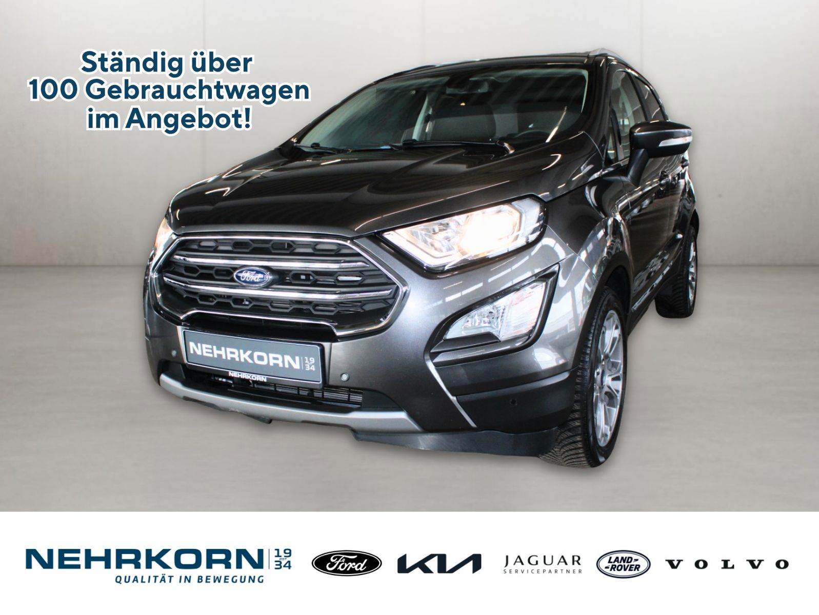 Fahrzeugabbildung Ford EcoSport Titanium NAVI Schiebedach CAM WinterPak