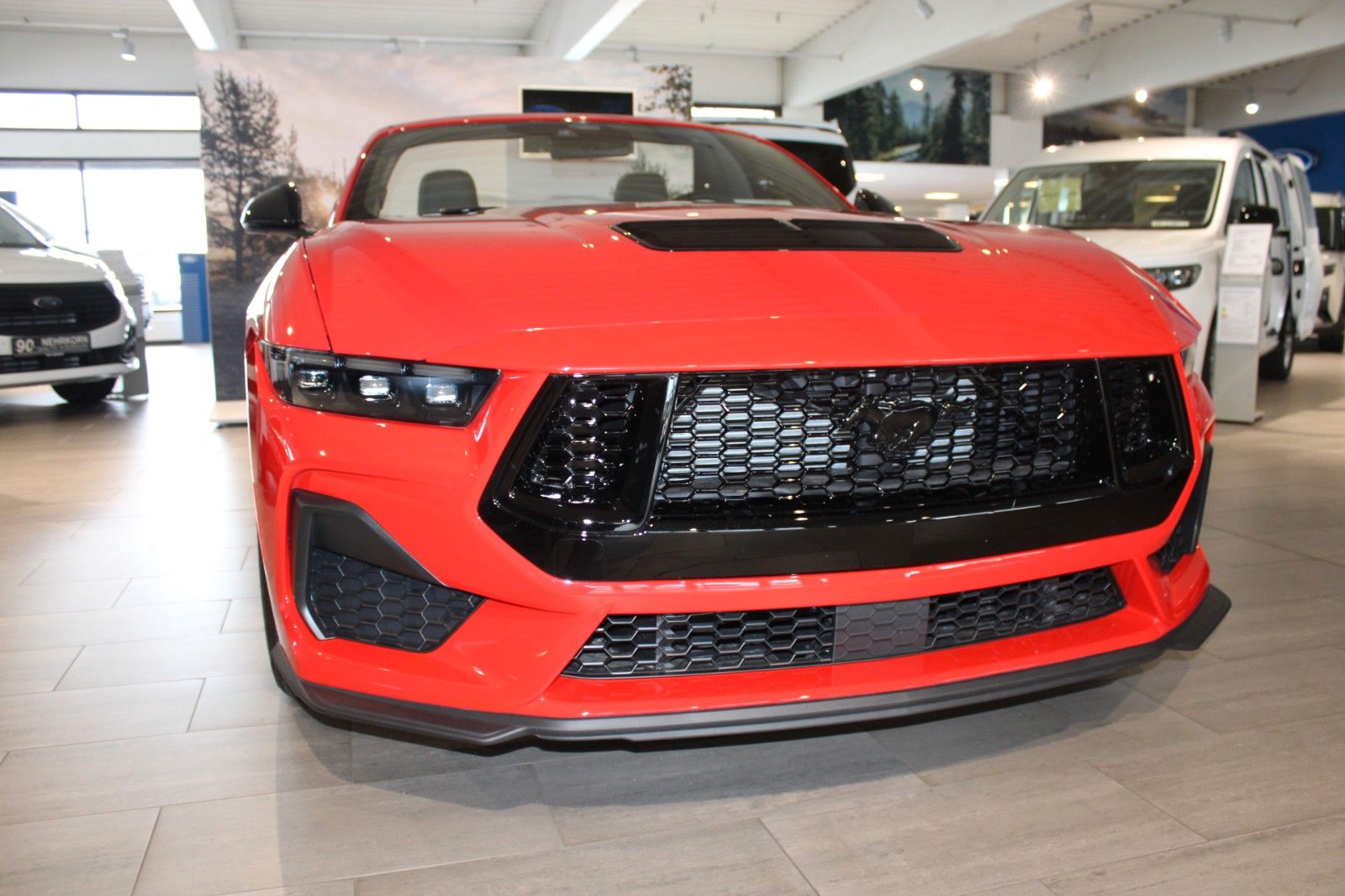 Fahrzeugabbildung Ford Mustang 5.0 V8 GT Cabrio LED ACC Kamera Leder