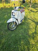 Govecs L3e A1 - ELEKTRO KLEINKRAFTRAD