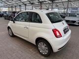 Fiat 500 1.0 Mild Hybrid Cult  Klima|DAB+|USB - Fiat 500: Cult