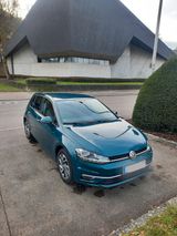 Volkswagen Golf 1.0 TSI Sound  - Volkswagen Golf mit Benzin-Antrieb: Grün, Limousine