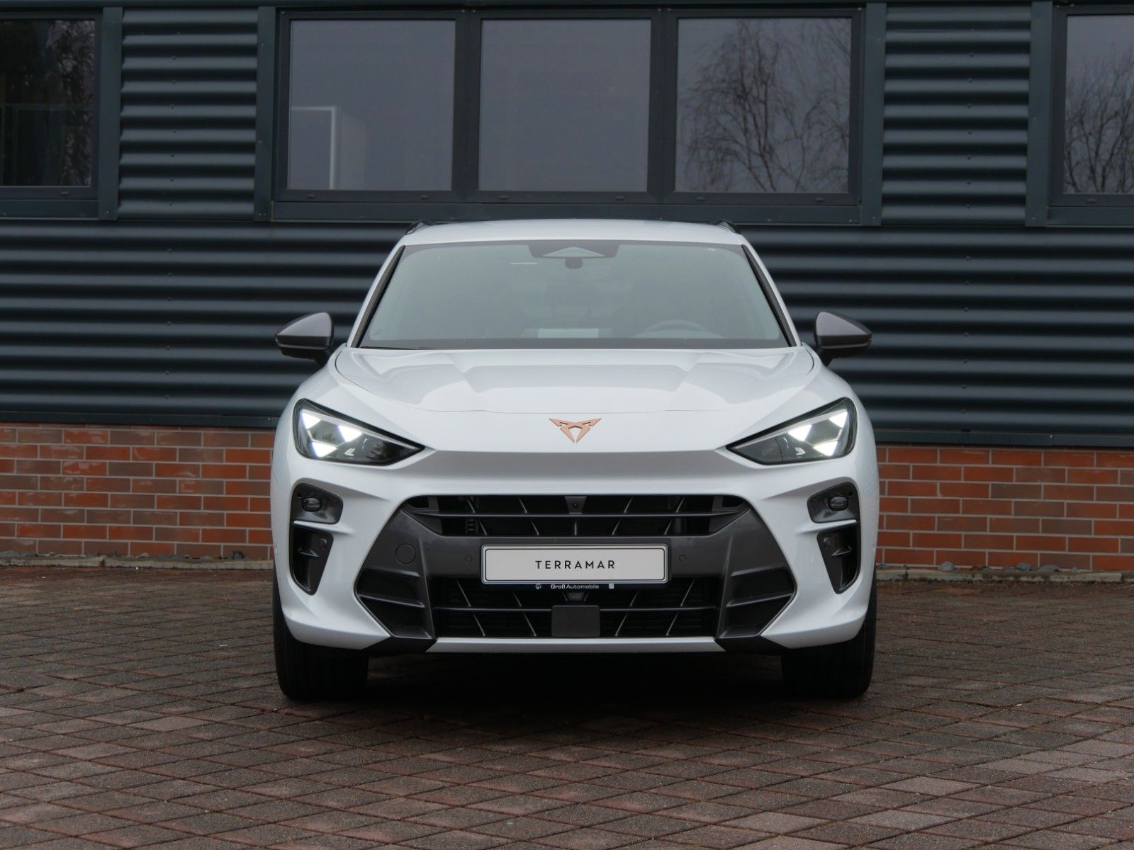 Cupra Terramar - Bild 4