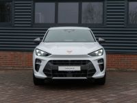 Cupra Terramar - Vorschau Bild 4