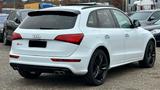 Audi SQ5 3.0 TDI plus tiptronic quattro - - Audi SQ5 in Krefeld
