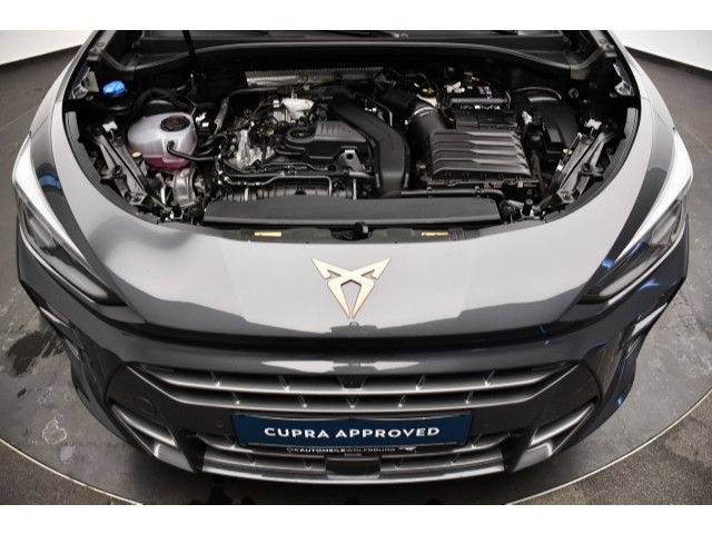 Cupra Terramar - Bild 13