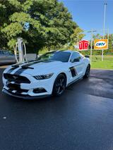 Ford Mustang GT 5,0L 50years Edition - Ford Mustang Gebrauchtwagen in Stuttgart