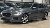 Jaguar XE 20d 180PS R-Sport - Jaguar aus 2015