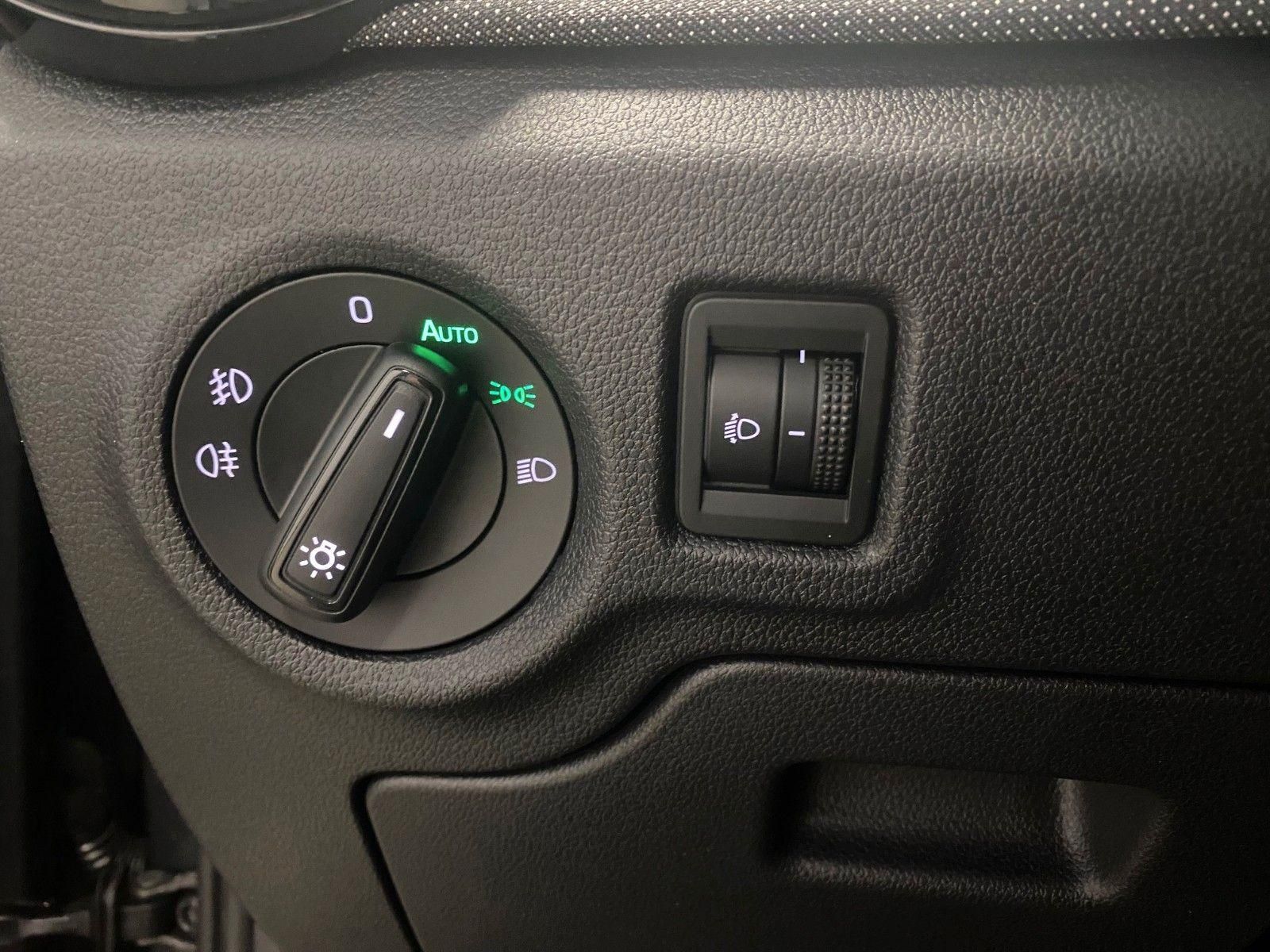 Fahrzeugabbildung SKODA Fabia 1.0 TSI GA 2031/100TKM+PDC+SMART-LINK+SH++