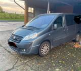 Fiat Scudo Familienwagen 9 Sitzer L3 - Fiat Scudo von privat