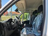 Fiat Ducato 2.2 L4H1 DOKA KAM 3-SEITEN KIPPER - Fiat Ducato Neuwagen