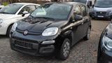 Fiat Panda 1,2 8V MyStyle - Fiat Panda: Schwarz