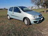 Fiat Panda - Fiat Panda aus 2003