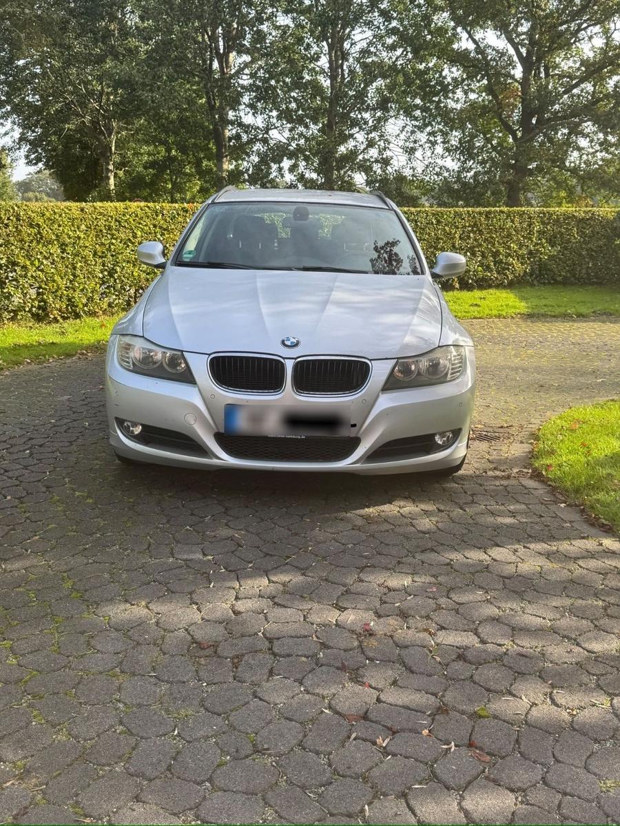BMW 318 2010 — rear view