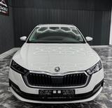 Skoda Octavia Combi Selection 2.0 TDI Automatik - Skoda Octavia aus 2024