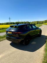 Jaguar F-Pace P250 R-DYNAMIC BLACK AWD R-DYNAMIC BLACK - Jaguar F-Pace von privat