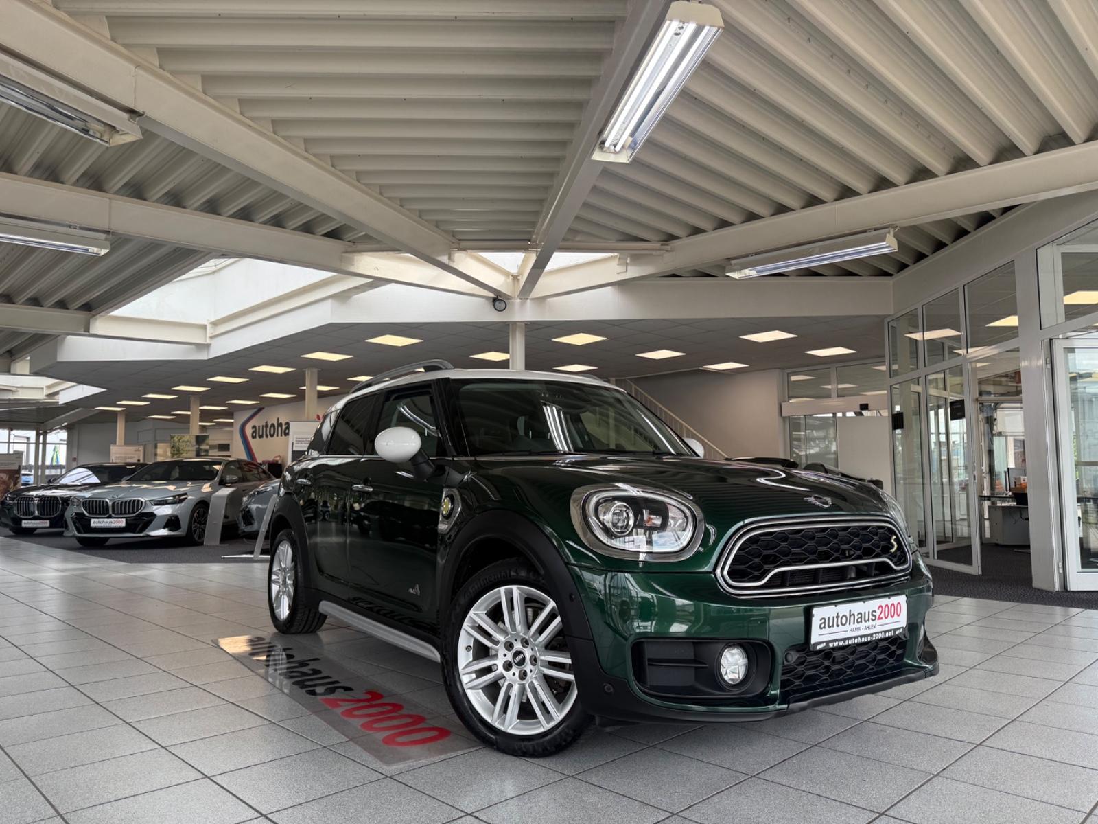 MINI COOPER SE COUNTRYMAN All4 LED/A.TEMPO/PARKASST