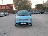 Fiat Panda 1.4 Natural Power Van Active 2 posti - Fiat Panda: Natural Power