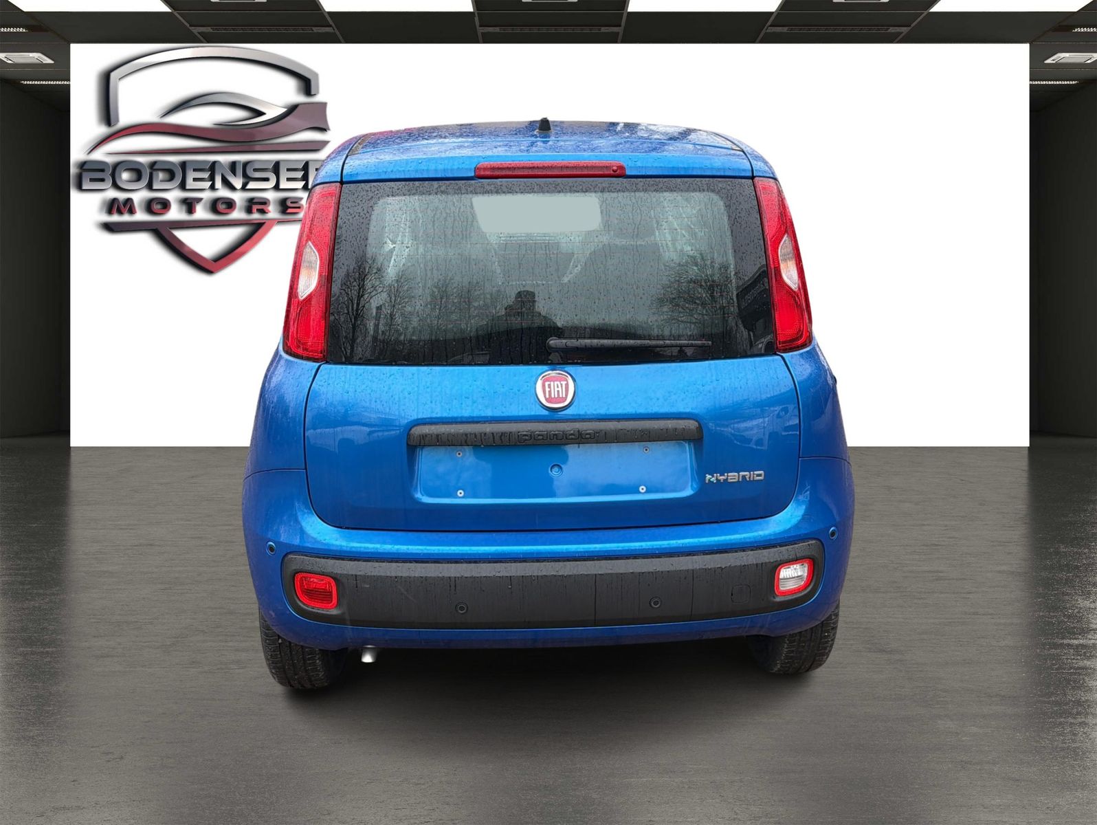 Fahrzeugabbildung Fiat Panda Pandina Icon