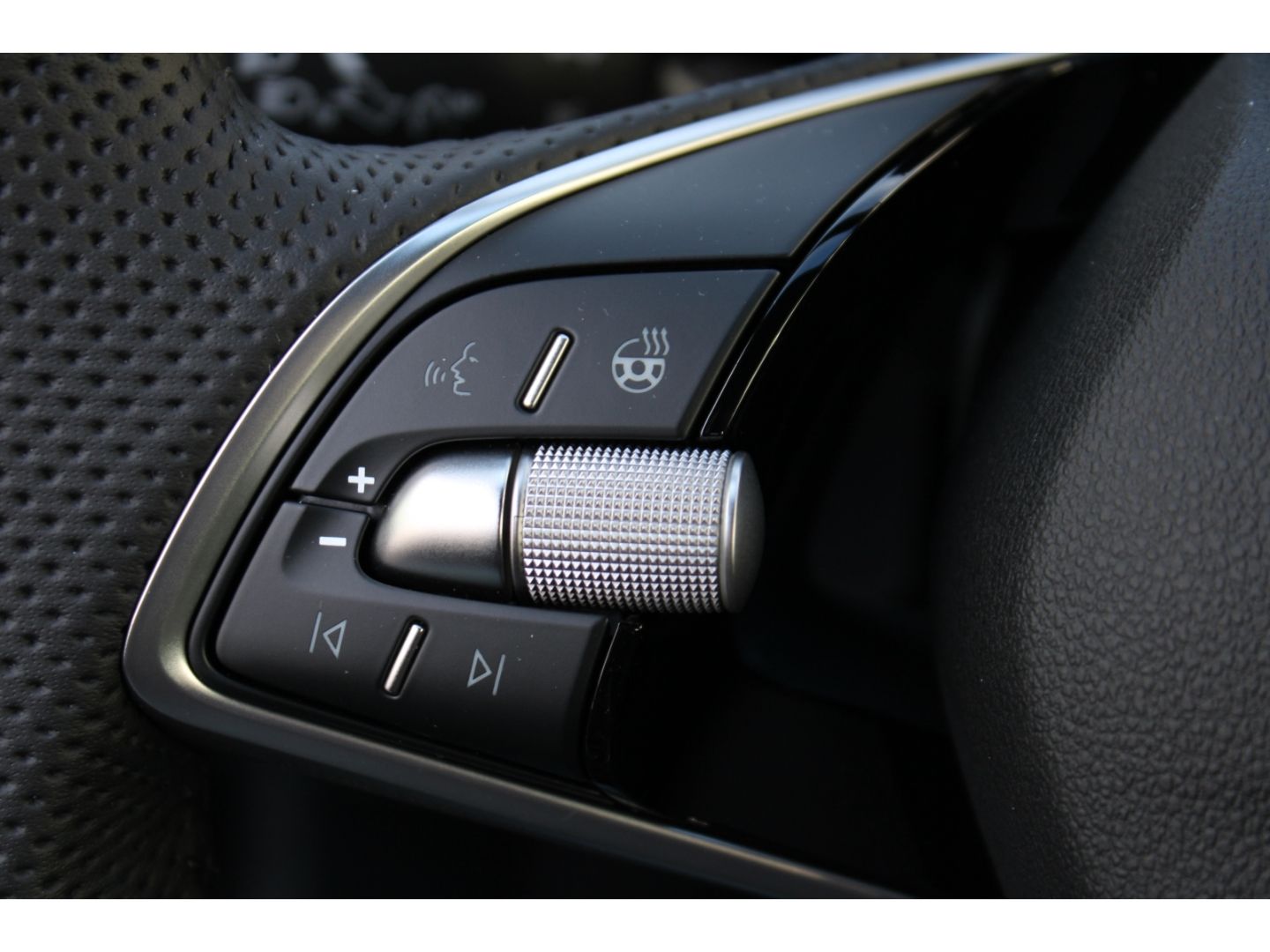 Fahrzeugabbildung SKODA Fabia Selection Drive Plus 1,0 TSI LED Full Link