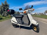 Honda Lead 125 JF01 - HONDA LEAD