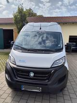 Chausson V594 FirstLine- Aufstelldach  - Chausson Diesel Kastenwagen