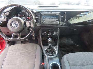 Volkswagen Beetle - 11