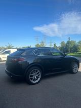 Alfa Romeo Stelvio 2.0 Turbo 16V 206kW First Edition AT... - Alfa Romeo Stelvio First-Edition mit Benzin-Antrieb