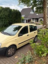Fiat Panda - Fiat Panda Gebrauchtwagen in Düsseldorf