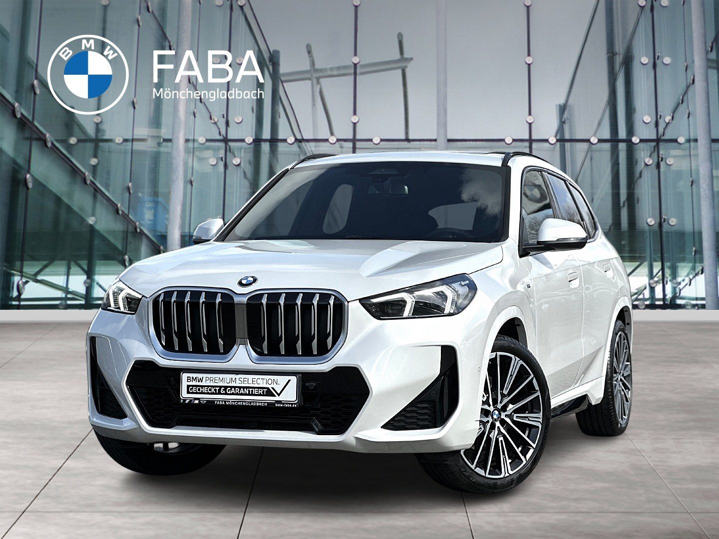 BMW X1 sDrive20i M Sportpaket HK HiFi DAB LED Shz