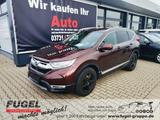 Honda CR-V 1.5 VTEC Turbo  1.5 T 4WD Executive Pano|Le - Honda Gebrauchtwagen