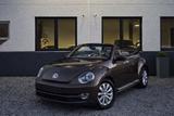 Volkswagen Beetle CABRIOLET 1.2 TSI PELLE RISCAL - Volkswagen: Ri
