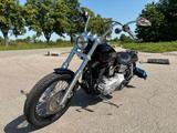 Harley-Davidson Street Bob (FXDB) - Top Zustand wenige Kilometer - HARLEY-DAVIDSON 2009 STREET BOB